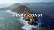 Shark Coast still