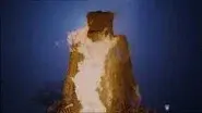 The Straw Woman still