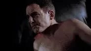 Waging Bull still