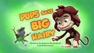 Pups Save Big Hairy still