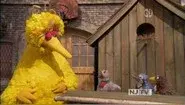 The Good Birds Club still