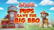 Fire Rescue: Pups Save the Big BBQ still