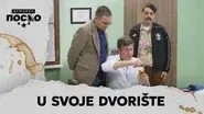 2433 U svoje dvorište still