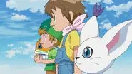 Hikari, New Life still