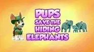Pups Save the Hiding Elephants still
