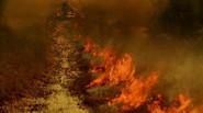Slow Burn still