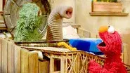 Be Kind to Your Worm still
