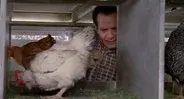 Mr. Monk Visits a Farm still