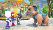 How to Train Your Doggy still