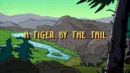 Tiger by the Tail still