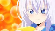 Return to Avancia still