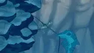 The Missing Fast Water Adventure still