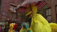 Jumpin' in the Rain still