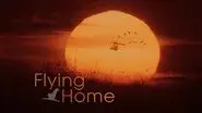 Flying Home still