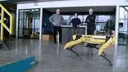 Incoming, Dynamic Robots, Grizzlies still