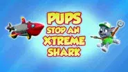 Pups Stop an Xtreme Shark still
