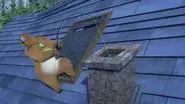 The Bear Next Door still