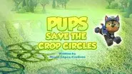 Pups Save the Crop Circles still