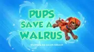 Pups Save a Walrus still