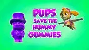 Pups Save the Hummy Gummies still