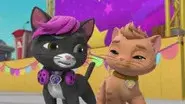 Pups and Cats Save HumCatDingerMan still