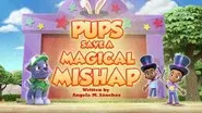 Pups Save a Magical Mishap still