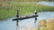 Water, Giver of Life still