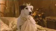 The Entrepawneur still