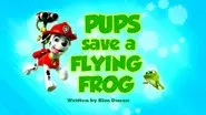 Pups Save a Flying Frog still