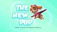 The New Pup still