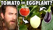 Can We Guess What Food Is Growing? still
