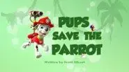 Pups Save the Parrot still