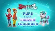 Sea Patrol: Pups Save a Frozen Flounder still