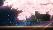 The Scenery I Shared with You still