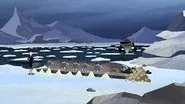 Mystery of the Weird Looking Walrus still