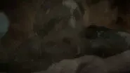 The King's Struggles still
