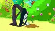 The Witch's Garden still