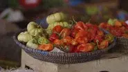 Senegal still
