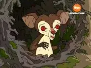 Luck Be an Aye-Aye still