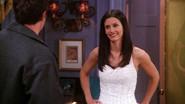 The One with the Cheap Wedding Dress still