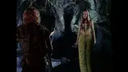 The Wrong Path still