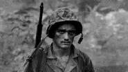 A Necessary War still