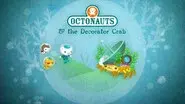 The Decorator Crab still