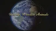 WORLD'S WEIRDEST ANIMALS still