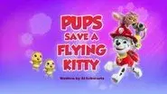 Pups Save a Flying Kitty still