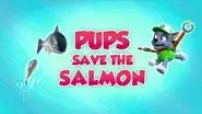 Pups Save the Salmon still