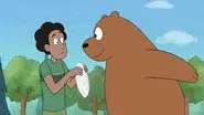 Everyday Bears still