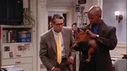 Dead Dog Talking still