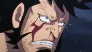 I Won’t Forgive Him! Chopper’s Determination! still