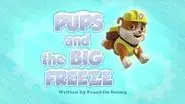 Pups and the Big Freeze still